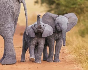 Aesthetic Grey Elephants Paint By Numbers