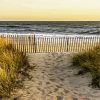 Hamptons Beach Paint By Numbers