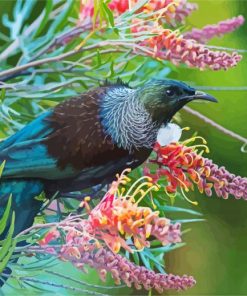 Aesthetic Honeyeater Paint By Numbers