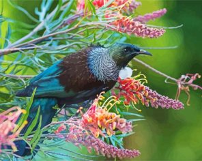 Aesthetic Honeyeater Paint By Numbers