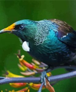 Honeyeater On Branch Paint By Numbers