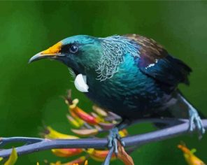 Honeyeater On Branch Paint By Numbers