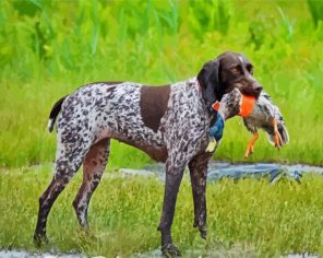 German Hound Paint By Numbers