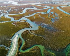 Lowcountry Marsh Paint By Numbers