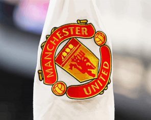 Manchester United Flag Paint By Numbers