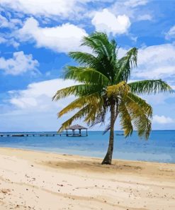 Roatan Beach Paint By Numbers