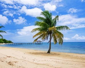 Roatan Beach Paint By Numbers