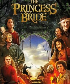 Princess Bride Poster Paint By Numbers