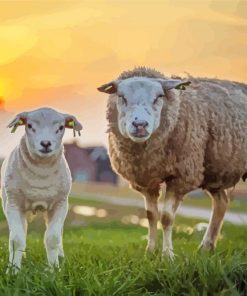 Sheep And Lamp Paint By Numbers