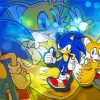 Aesthetic Sonic And Tails Paint By Numbers