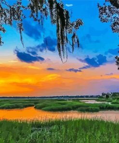 Carolina Lowcountry Paint By Numbers