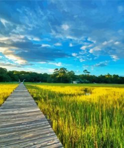 Lowcountry Walkroad Paint By Numbers