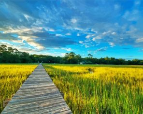 Lowcountry Walkroad Paint By Numbers