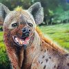 Spotted Hyena Paint By Numbers