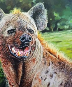 Spotted Hyena Paint By Numbers