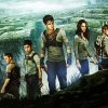 The Maze Runner Cast Paint By Numbers