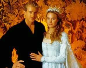 The Princess Bride Film Paint By Numbers