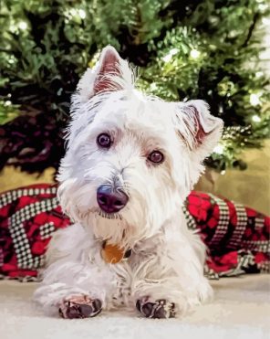 West Terrier In Grass Paint By Numbers