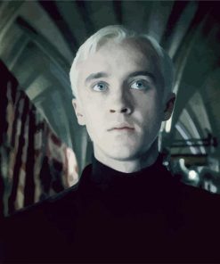 Aesthetic Drago Malefoy Paint By Numbers