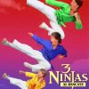 3 Ninjas Movie Paint By Numbers