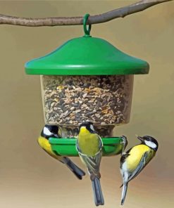 Birds Feeder And Cage Paint By Numbers