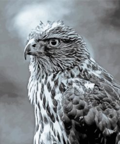 Black And White Eagle Paint by Numbers