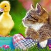 Duck And Kitty Paint By Numbers