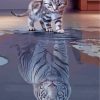 Kitty Reflection Tiger Paint by Numbers