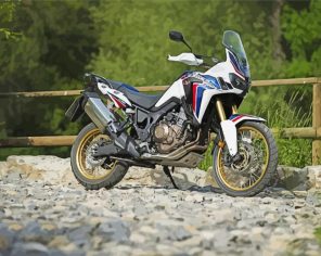 Africa Twin Motorcycle paint by numbers