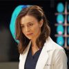 Amelia Shepherd paint by numbers