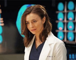 Amelia Shepherd paint by numbers