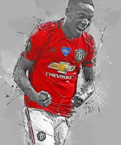 Anthony Martial Paint By Numbers