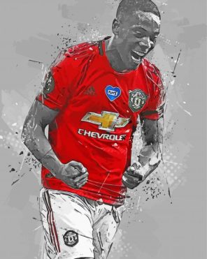 Anthony Martial Paint By Numbers