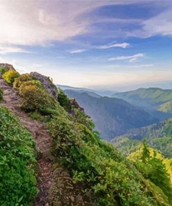 Appalachian Landscape Paint By Numbers