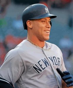 Aaron Judge baseballer paint by numbers