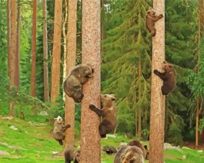 Bears Trees Paint By Numbers