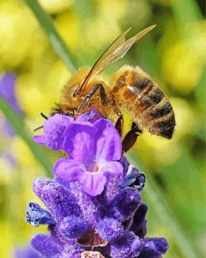 Bee On Lavender Paint by Numbers