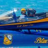 Blue Angles Pilot Paint By Numbers