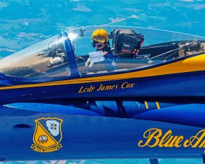 Blue Angles Pilot Paint By Numbers