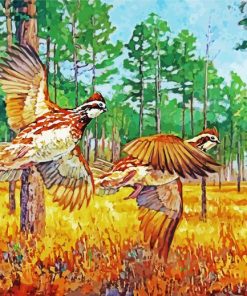 Bobwhite Bird Paint By Numbers