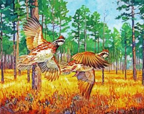 Bobwhite Bird Paint By Numbers