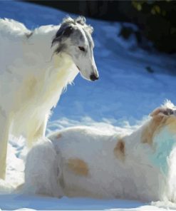 Borzoi Dogs Paint By Numbers