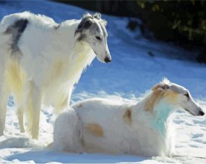 Borzoi Dogs Paint By Numbers