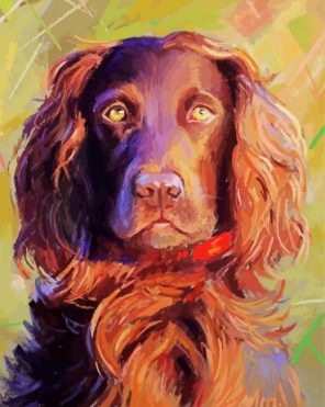 Boykin Spaniel Puppy Paint By Numbers