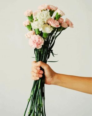 Pink And White Flowers Paint By Numbers