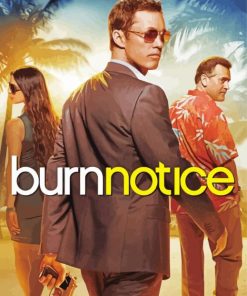 Burn Notice Serie paint by numbers