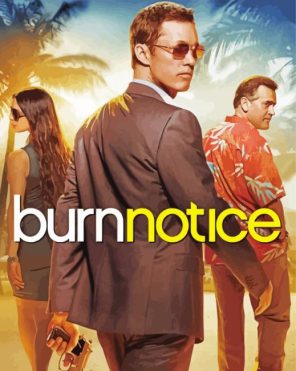 Burn Notice Serie paint by numbers