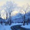 Car On Road In Winter Paint by Numbers