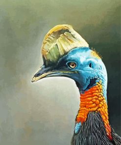 Artistic Cassowary Paint By Numbers