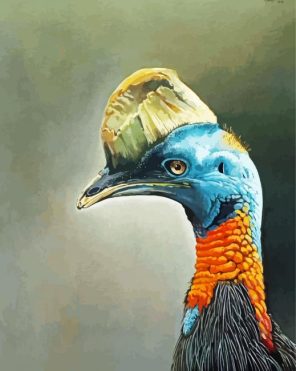 Artistic Cassowary Paint By Numbers